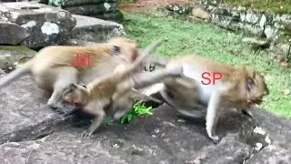 Oh my god, Jill help her baby bite Sweet Pea cruelly, Sweet Pea Crying Seizures and jump high stone.