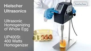 Egg Homogenization - Ultrasonic Homogenizing & Pasteurization - 400 Watts Sonicator