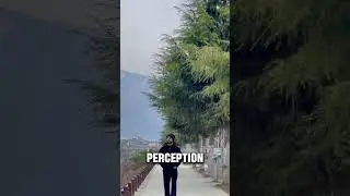 Your Brain Predicts the Present