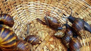 Best Restaurants you MUST TRY in Lokoja, Nigeria | 2019