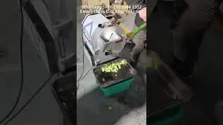 Fully automatic and efficient cucumber slicer  #cucumber #cuttingmachine