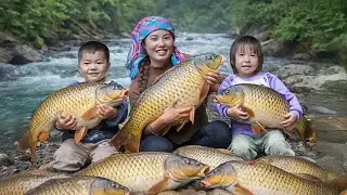 Best Time for Fat Stream Fish— Golden Chance for Chuc Duong to Land Huge Fish Catch | Village Life