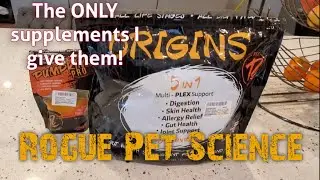 Best Dog Supplements For Your American Bully!  Rogue Pet Science Origins & Pumpkin Pro