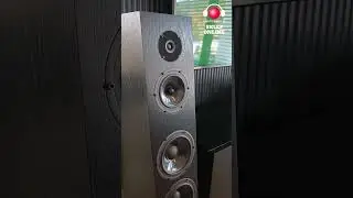 Pylon Audio Diamond 30 MKII + Onkyo ICON A-50  Kolejny zadowolony klient - Kolumny Wzmacniacz Stereo