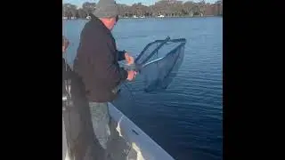 Bass fishing Orlando Florida. #bassfishing #fishingguideservice #orlandofishingcharter #Orlando
