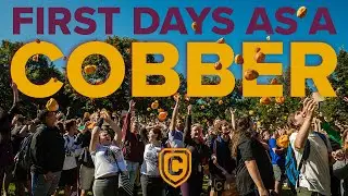 First Days as a Cobber | Concordia students share!