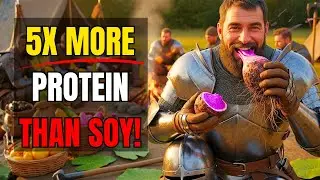 Medieval Knights Ate This Plant: 5x More Protein Than Soy. Why Did It DISAPPEAR?