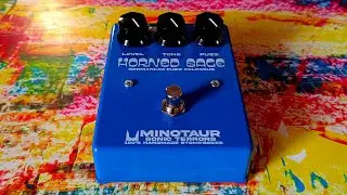Minotaur Sonic Terrors - Horned Sage Fuzz (Bass Demo - Rickenbacker 4003)