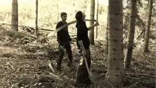 La m&eacute;canisation foresti&egrave;re