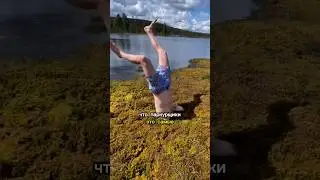 ТРЕНИРОВКИ ПАРКУРЩИКОВ В КИНО 🤪 #паркур #сальто #скита #pkfr