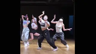 [fanmade] 'LALISA' 댄스연습영상 리정캠(leejung cam)