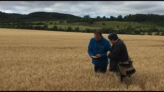 USDA Crop Reporting Tour July 2019 &ndash; Germany, Austria and Czech Republic.