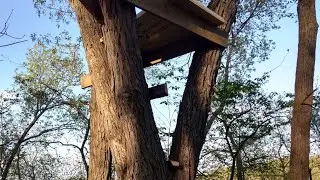 2 Hour Tree stand Build!