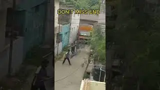 Catching street dogs#dog #viral #shorts #shortsvideo