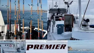 Half Day Extended Sport Fishing on the Premier out of H&M Landing in San Diego, California