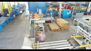 Saifan 3 heads trimming saw and stacking line for lumber#shorts