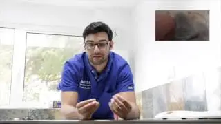 British Veterinary Hospital Trimming Your Pets Nails