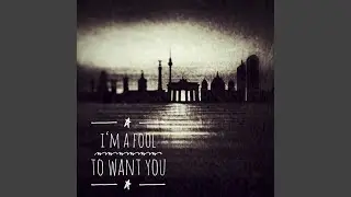 I'm a Fool to Want You