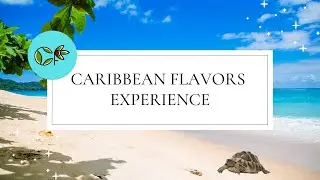 Caribbean Flavors, Experience