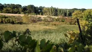 The Birchcliff Quarry Land Soon GONE!