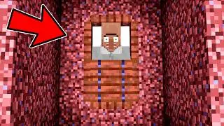 RESCATE a un ALDEANO ENTERRADO VIVO😨EN MINECRAFT