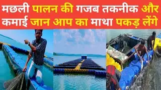 मछली पालन की गजब तकनीक और कमाई देख चौक जाएंगे || cage culture fish farming part -1।#aquaculture vlog