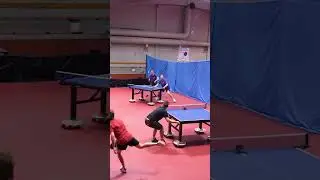 wild ping pong