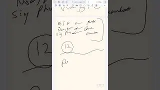 مراجعة الاسماء والصفات في اللغة اللاتينية