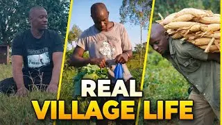 Village Daily Routine as a Man | Farming, Homestead Life & Rural Kenya #villagevlog #subscribe 