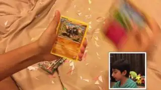 Mega Beedrill EX PREMIUM COLLECTION! Secret Rare PULLED!!!!!