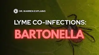 Lyme Disease Co-Infections: Bartonella