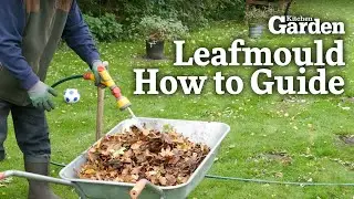 Leafmould | How-To Guide | Kitchen Garden Magazine |