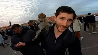 La Plaza de JEMAA EL FNA | MARRAKECH 🇲🇦