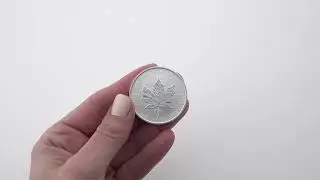 1 oz. Pure Silver Coin &ndash; 