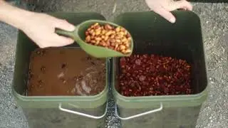 CARP FOOD