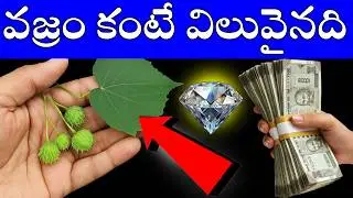 వజ్రం కంటే విలువైనది..!