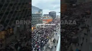 65 000 People March for Palestine in Denmark!
