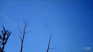 Sporting Clays practice - Dead pairs @ Gulf Coast Clays