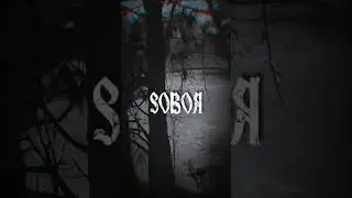 From the depths of adversity, a new force in black metal has emerged. #shorts