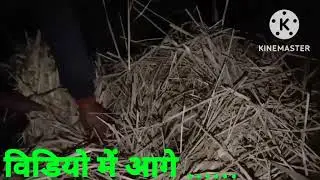 पढ़ाई से अलग भी कुछ करनी चाहिए #mathbrijendra