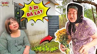 H&agrave;i Tết 2025 | Con D&acirc;u Cười N&aacute; Thở Khi Mẹ chồng Được Tặng Hoa C&uacute;c | Sự B&eacute;o Vlogs