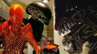 Xenomorph Runner / Разъяснения к пришельцу