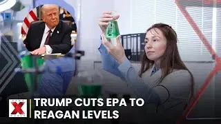 US EPA Budget Cuts : EPA Faces Major Cuts in Trump-Era Overhaul | NewsX World