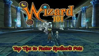 Wizard101 The Top Tips to Getting Spellwrit Pets Fast