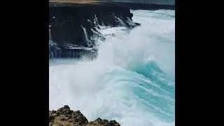 Amazing waves in Aruba!! surf this!!