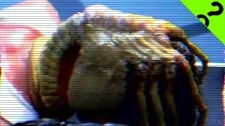 Monstrous Sex Ed: The Alien Facehugger | Monster Science #20