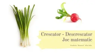Crescator / Descrescator - Joc Matematic | Gradinita Emanuel