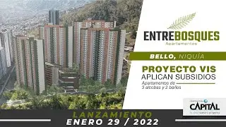 Bienvenidos al lanzamiento de Entrebosques, el proyecto que llevará tu vida a otro nivel.