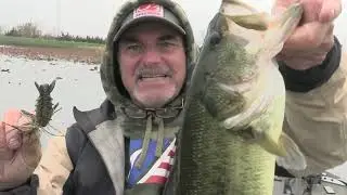 I just LOVE me some Chatterbait Dagger combo!