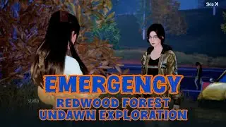 Emergency Redwood Forest - Undawn Exploration